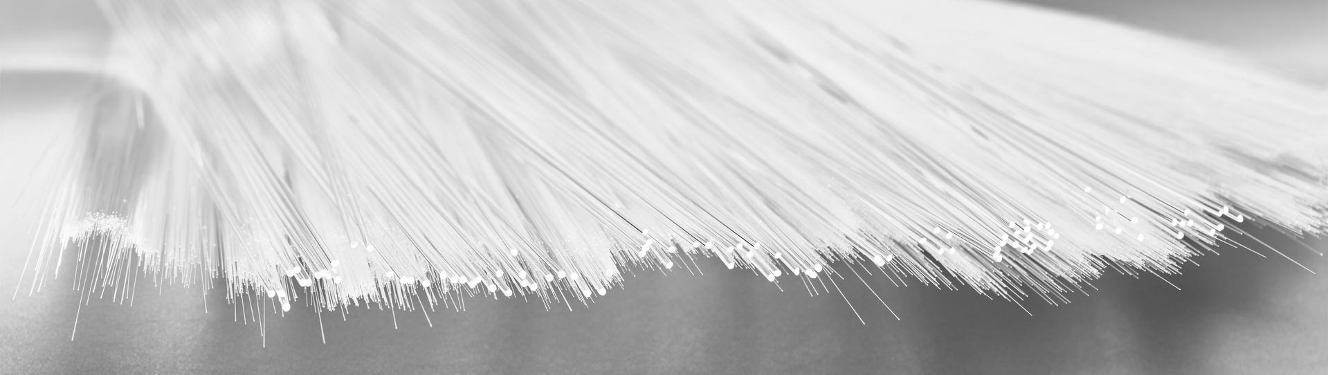 Puravis 玻璃光纤 Schott