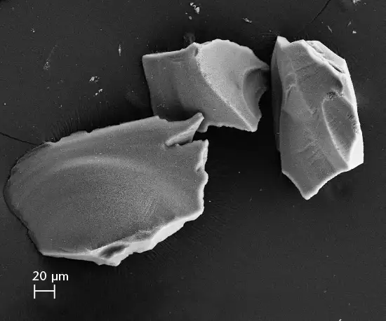 CoralPor® 나노다공성