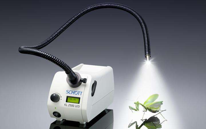 SCHOTT KL 2500 LED Light Source and guide illuminating a green insect