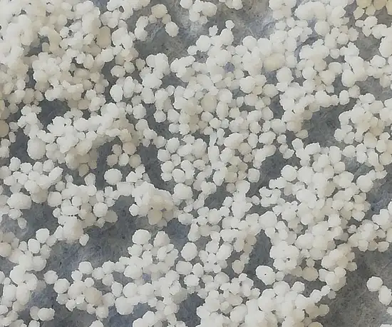 CoralPor® 매크로다공성