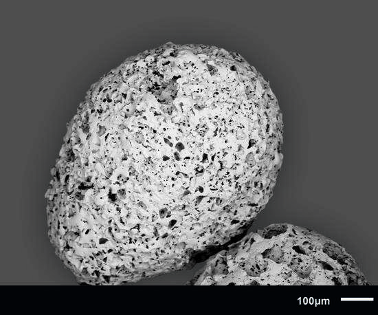 CoralPor® macroporeux