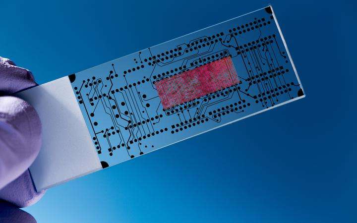 	Gloved hand holding a glass lab-on-a-chip on a blue background