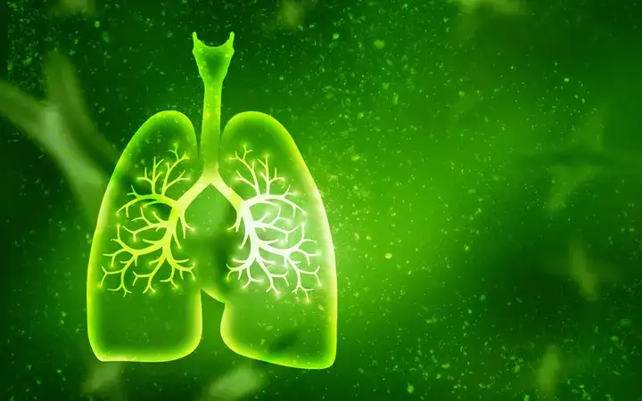 Green image of a pair of human lungs