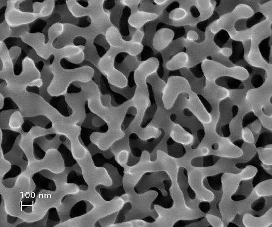 CoralPor® nanoporoso