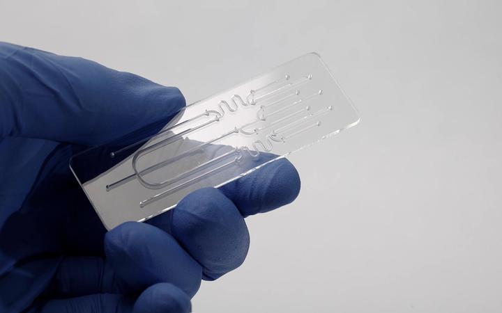 Hand holding a polymer microfluidic device with flow cells.